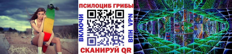 MEGA как зайти  Черепаново  Галлюциногенные грибы Psilocybe 