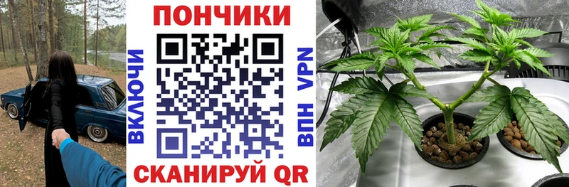 Конопля индика  Черепаново 
