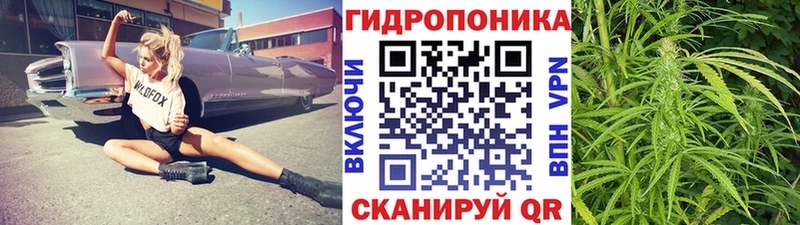 Каннабис сатива Черепаново